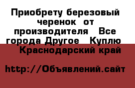 Приобрету березовый черенок  от производителя - Все города Другое » Куплю   . Краснодарский край